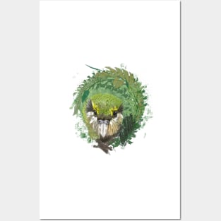 kakapo Posters and Art